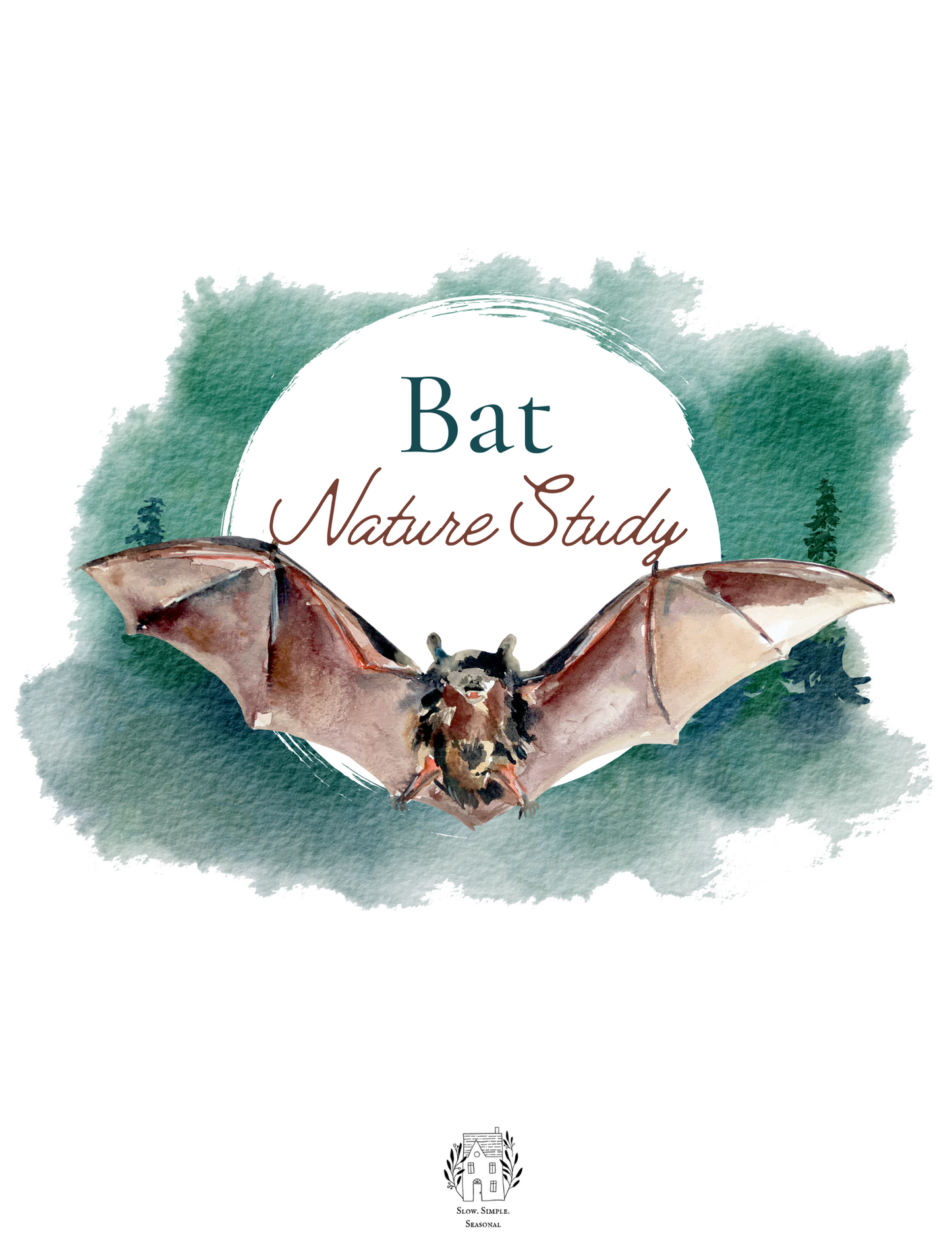 Bat Nature Study
