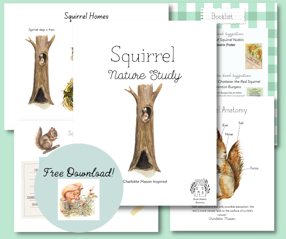 Squirrel Nature Study-Unit Study