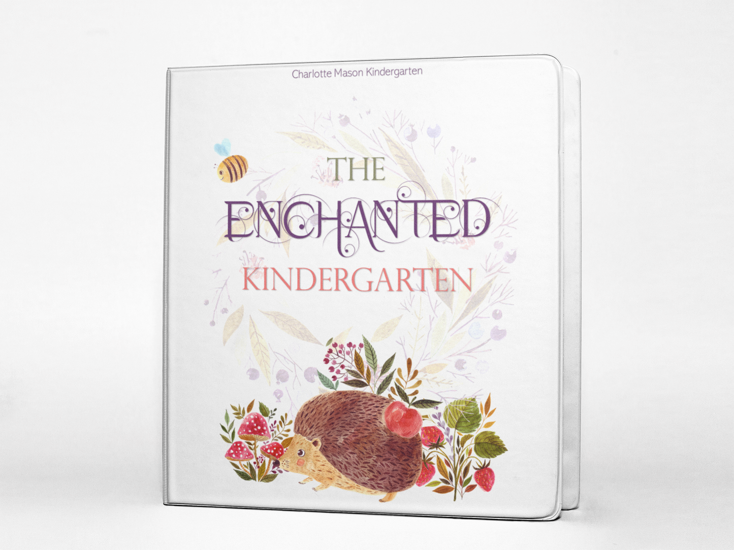 The Enchanted Kindergarten Curriculum
