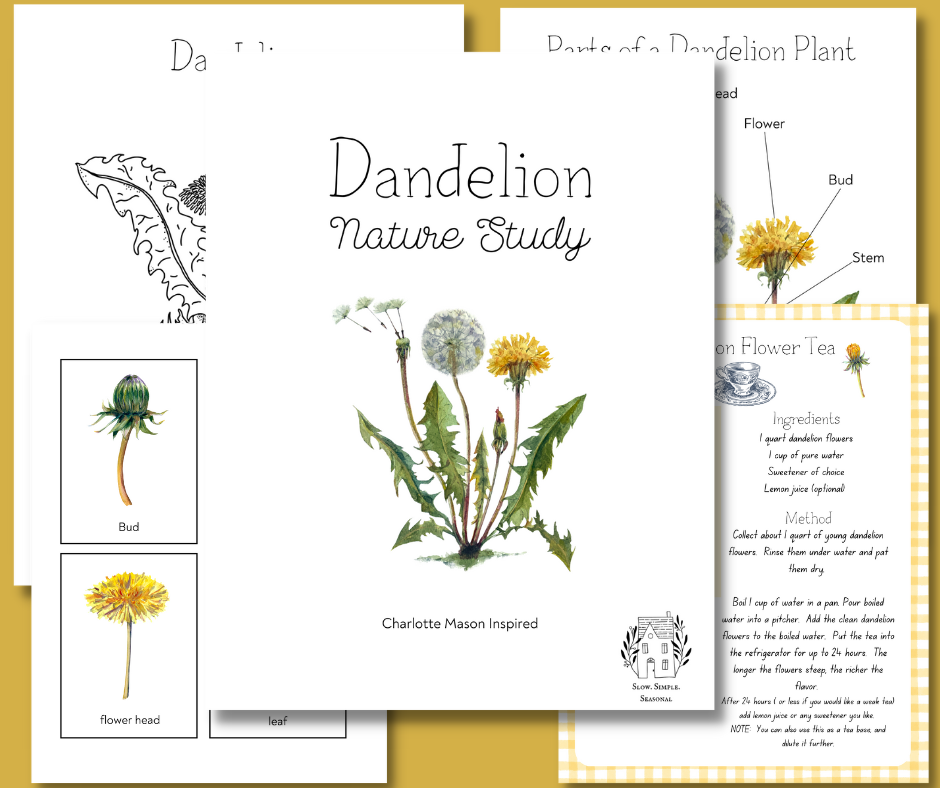 Dandelion Unit Study