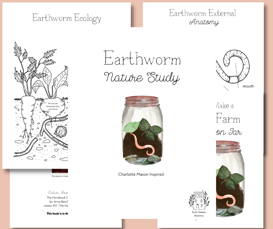 Earthworm Mini Nature Study